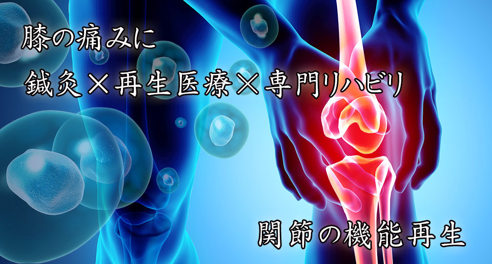 膝関節の再生医療